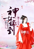神女嫁到:逆天丫头忙追夫