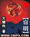 窃明小说
