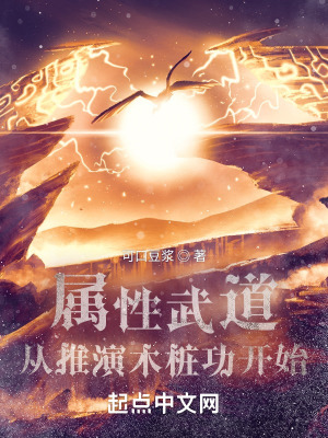 属性武道:从推演木桩功开始