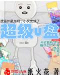 超级u盘小说下载
