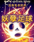 妖孽足球评价