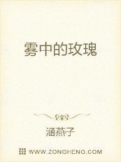 雾中的玫瑰