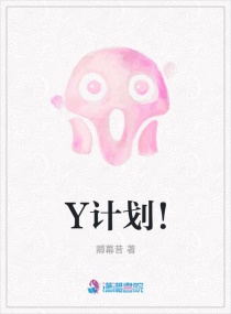 Y计划！