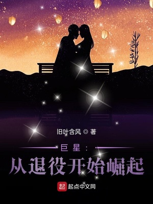 巨星:从退役开始崛起小说