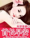 首长早上好完结版