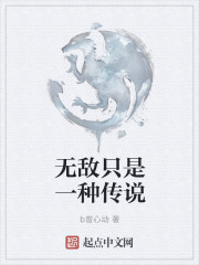 无敌传说小说