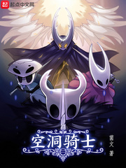 空洞骑士全地图