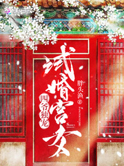 四爷独宠:试婚宫女
