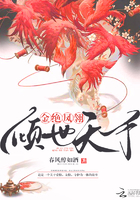 金绝凤翎:倾世天下