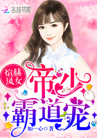 煊赫凤女:帝少,霸道宠