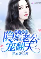 重生暖婚:隐婚老公,宠翻天