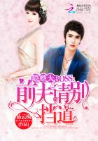 隐婚大BOOS:前夫请别挡道