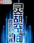 灵葫空间有声小说