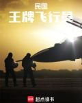 民国:王牌飞行员