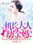 宠妻101天:机长大人,劫个婚