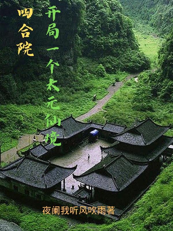四合院:开局一个太元仙境作者:夜阑我听风吹雨