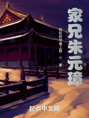 家兄朱元璋奇书网
