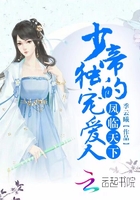 凤临天下:少帝的独宠爱人