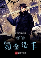 我是氪金选手动漫