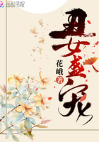 丑女盛嫁 小说