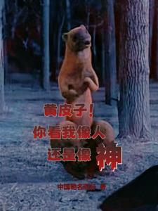 黄皮子讨封怎么破解