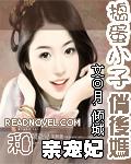 和亲宠妃:捣蛋小子俏后妈