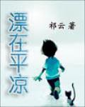 平凉漂流