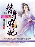 殇宫劫:替身宠妃