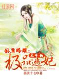 公主玲珑:太子的极品逃妃