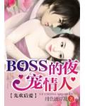 先欢后爱:BOSS的夜宠情人