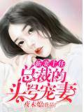 新妻上任:总裁的头号宠妻