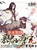 妾本惊鸿:暴君的孽宠