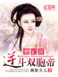 傻妃谋:逆斗双胞帝