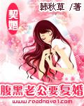契婚:腹黑老公要复婚