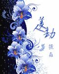 美人劫