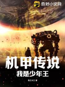 机甲传说:我是少年王