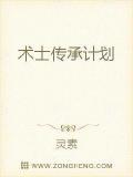 术士传承计划