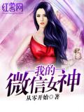 我的微信女友小说免费